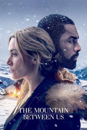 The Mountain Between Us 2017 Dual Audio Hindi 350MB HD Poster Download - filmyfly