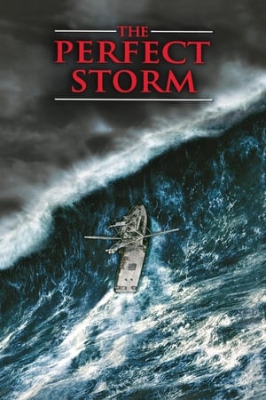 The Perfect Storm (2000) Hindi Dual Audio 450MB HD Poster Download - filmyfly