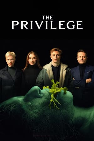 The Privilege (2022) Hindi Dual Audio – HD Poster Download - filmyfly