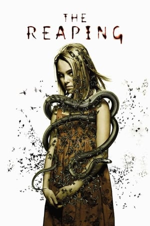 The Reaping (2007) Hindi Dual Audio 340MB HD Poster Download - filmyfly