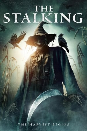 The Stalking (2024) Hindi (MULTI AUDIO) – – HD Poster Download - filmyfly