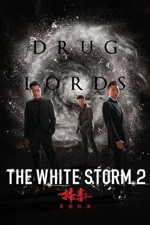 The White Storm 2: Drug Lords (2019) Hindi (Org) 300MB HD Poster Download - filmyfly