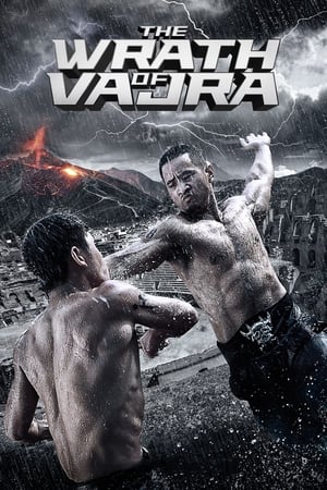 The Wrath of Vajra (2013) Hindi Dual Audio [900MB] HD Poster Download - filmyfly