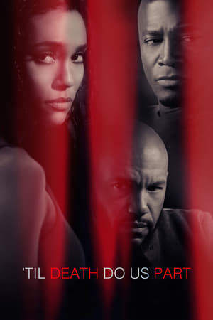 Til Death Do Us Part 2017 Hindi Dual Audio 300MB HD Poster Download - filmyfly