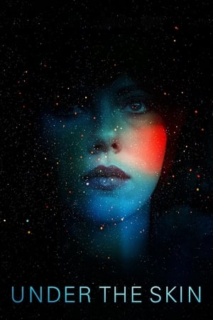 Under the Skin 2013 Hindi Dual Audio 350MB HD Poster Download - filmyfly