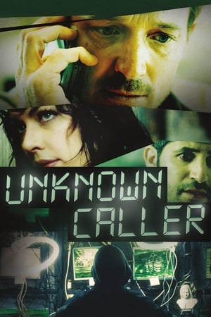 Unknown Caller 2014 Hindi Dual Audio 300MB ESubs HD Poster Download - filmyfly